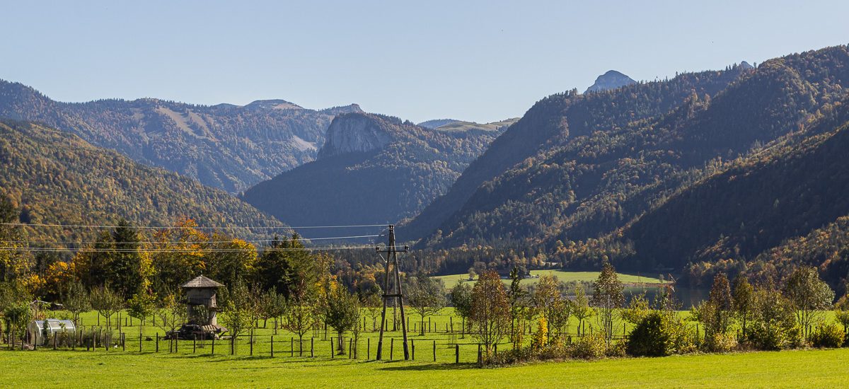 Faistenau erleben.